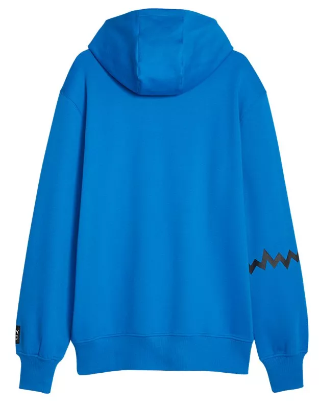 Felpe con cappuccio Puma Hoops Team Hoodie