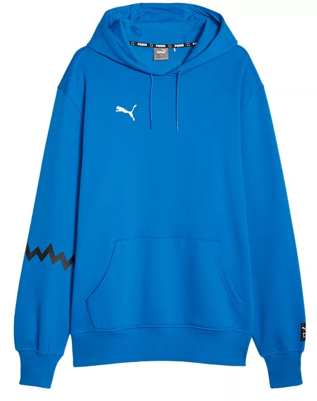 Felpe con cappuccio Puma Hoops Team Hoodie